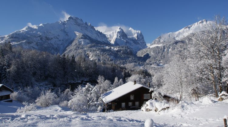 Die Terrasse mit Blick auf Wetterhorn, Wellhorn und Engelshörner.