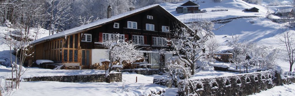 Das Chalet im Winter